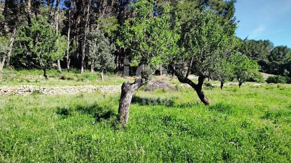 Terreno en Orba