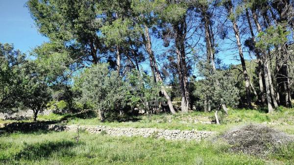 Terreno en Orba