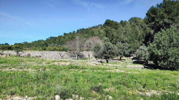 Terreno en Orba