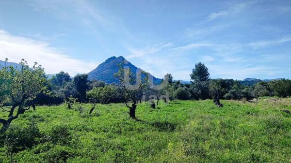 Terreno en Orba