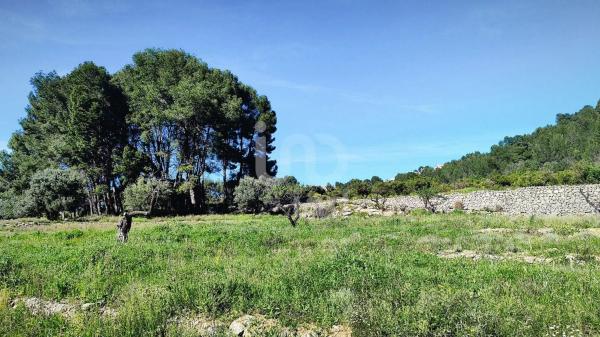 Terreno en Orba