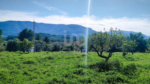 Terreno en Orba