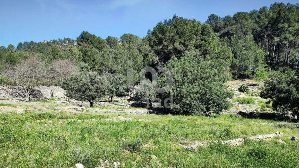 Terreno en Orba