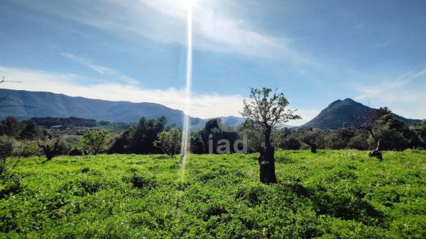 Terreno en Orba