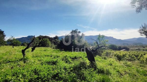 Terreno en Orba