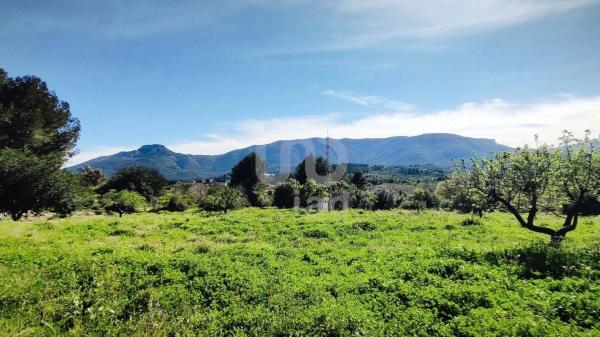 Terreno en Orba