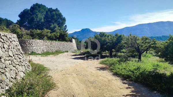 Terreno en Orba