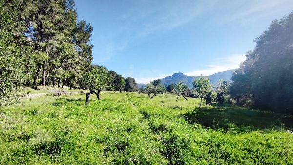 Terreno en Orba