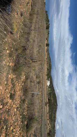 Terreno en via Sense Nom, km 2