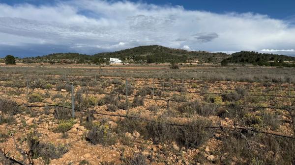 Terreno en via Sense Nom, km 2