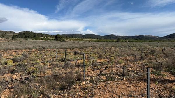 Terreno en via Sense Nom, km 2