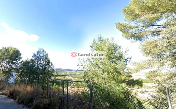 Terreno en Urbanización Montepego Ii Ràfol s/n