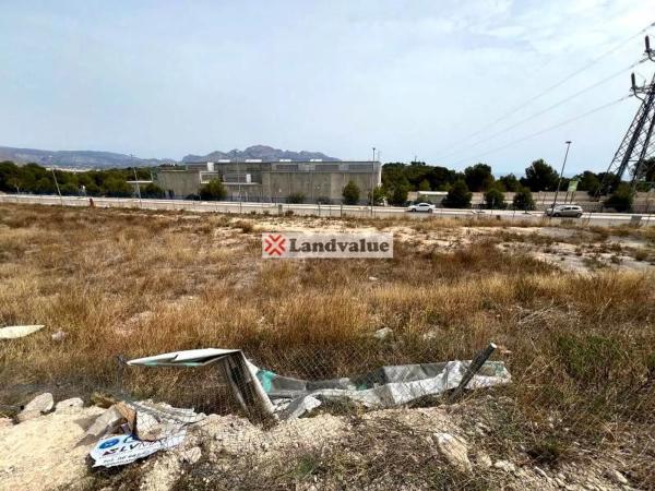 Terreno en calle Florencia