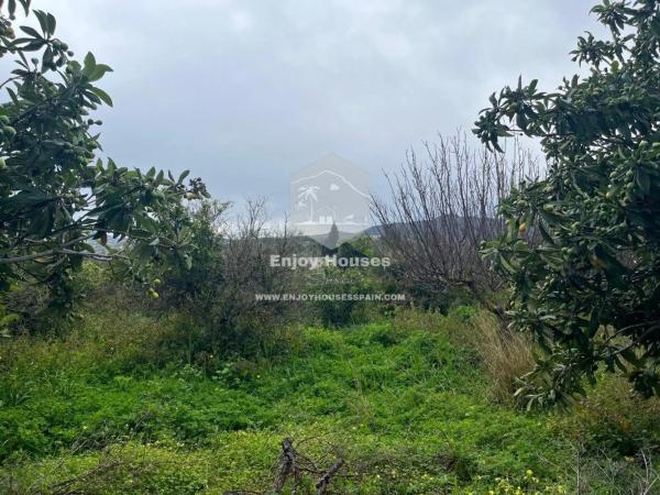 Terreno en Partida Tosal - Zona dels Castellans