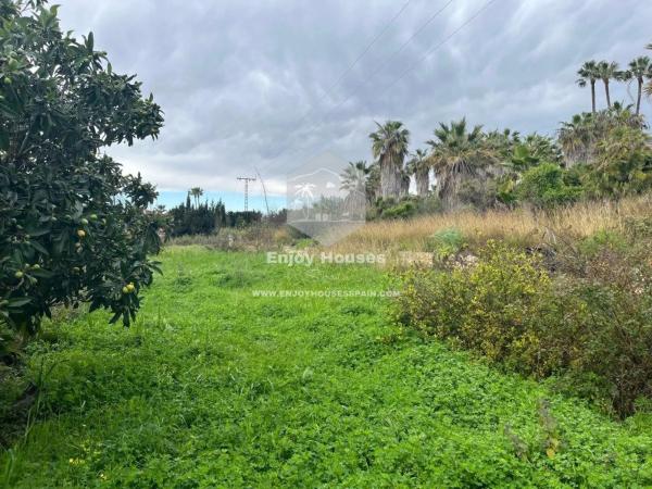Terreno en Partida Tosal - Zona dels Castellans