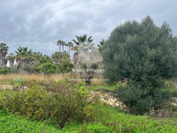 Terreno en Partida Tosal - Zona dels Castellans