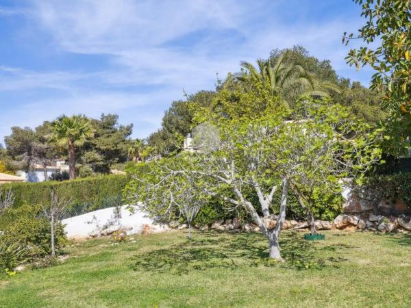 Terreno en La Granadella - Costa Nova