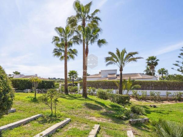 Terreno en La Granadella - Costa Nova