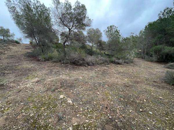 Terreno en calle Avestruz, 154