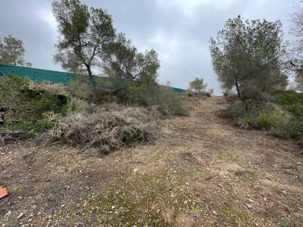 Terreno en calle Avestruz, 154