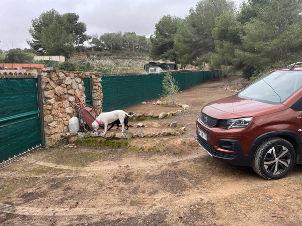 Terreno en calle Avestruz, 154