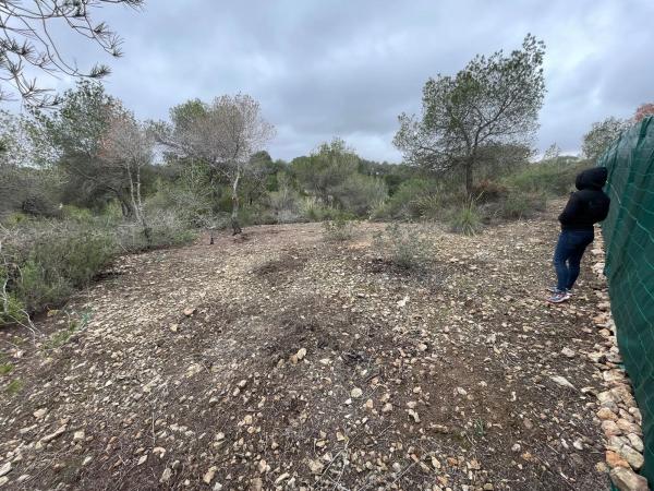 Terreno en calle Avestruz, 154