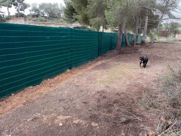 Terreno en calle Avestruz, 154