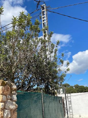 Terreno en calle Avestruz, 154