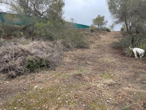 Terreno en calle Avestruz, 154