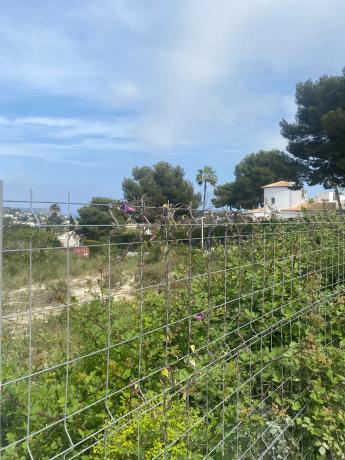 Terreno en Cap Marti Pinomar, 1