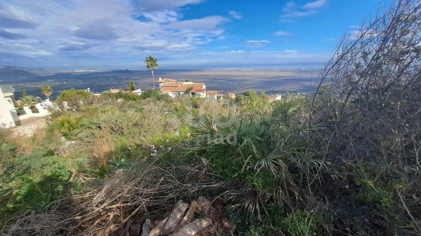 Terreno en Pego