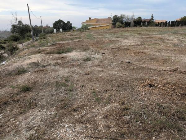 Terreno en camino Ortiga