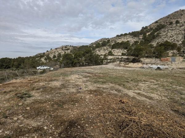 Terreno en camino Ortiga