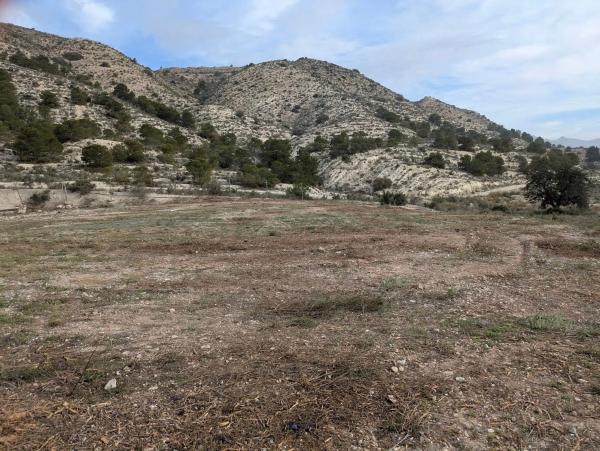 Terreno en camino Ortiga