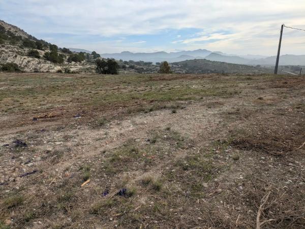Terreno en camino Ortiga