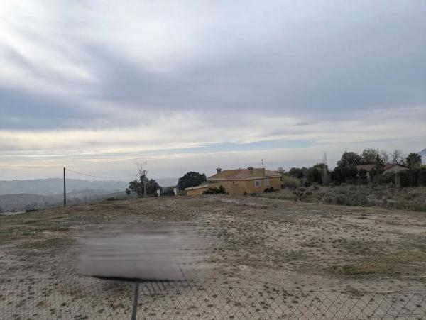 Terreno en camino Ortiga