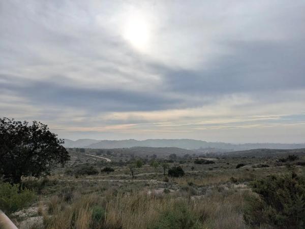 Terreno en camino Ortiga