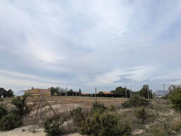 Terreno en camino Ortiga