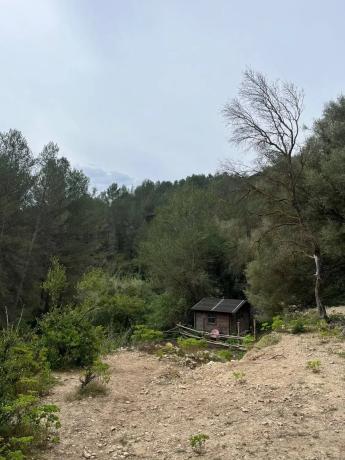 Terreno en Corral Nou, 17