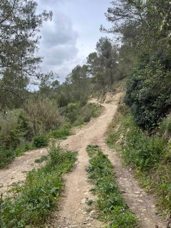 Terreno en Corral Nou, 17