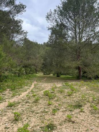 Terreno en Corral Nou, 17