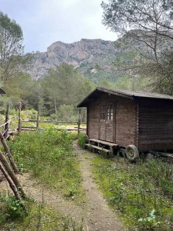 Terreno en Corral Nou, 17