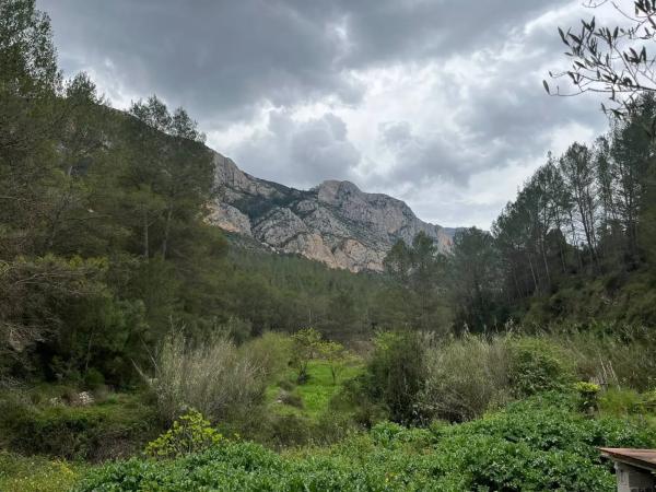 Terreno en Corral Nou, 17