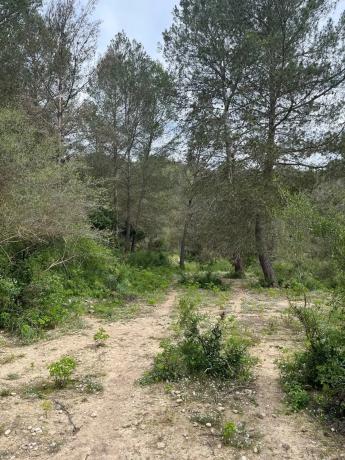 Terreno en Corral Nou, 17