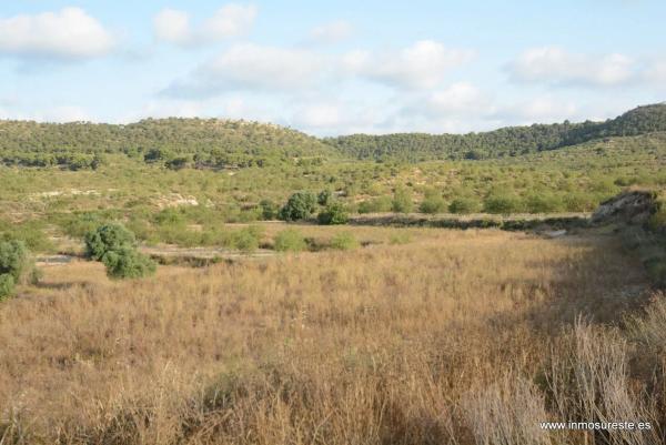 Terreno en Desamparados-Hurchillo-Torremendo