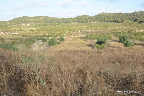 Terreno en Desamparados-Hurchillo-Torremendo