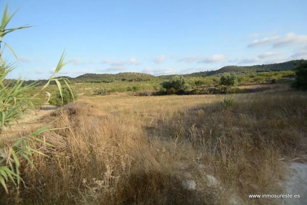 Terreno en Desamparados-Hurchillo-Torremendo