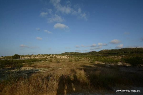 Terreno en Desamparados-Hurchillo-Torremendo