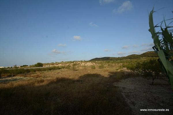 Terreno en Desamparados-Hurchillo-Torremendo