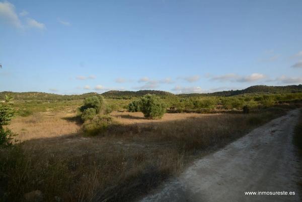 Terreno en Desamparados-Hurchillo-Torremendo